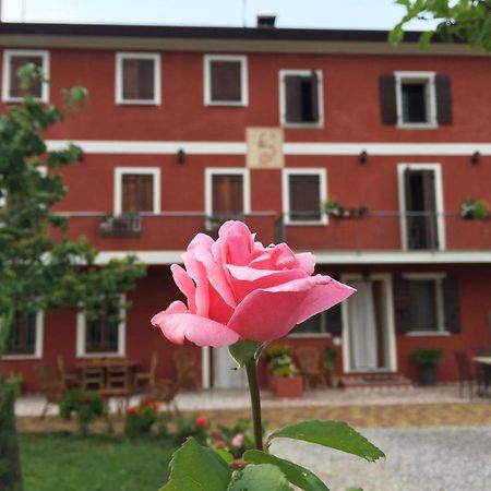 B&B Casa Del Conte Soligo エクステリア 写真