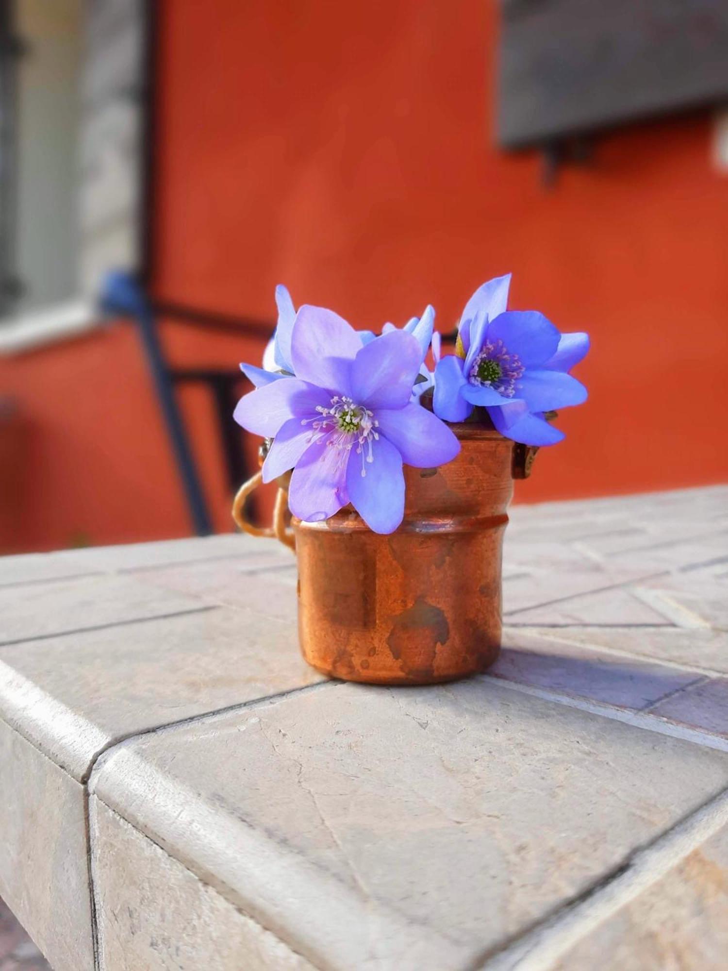 B&B Casa Del Conte Soligo エクステリア 写真