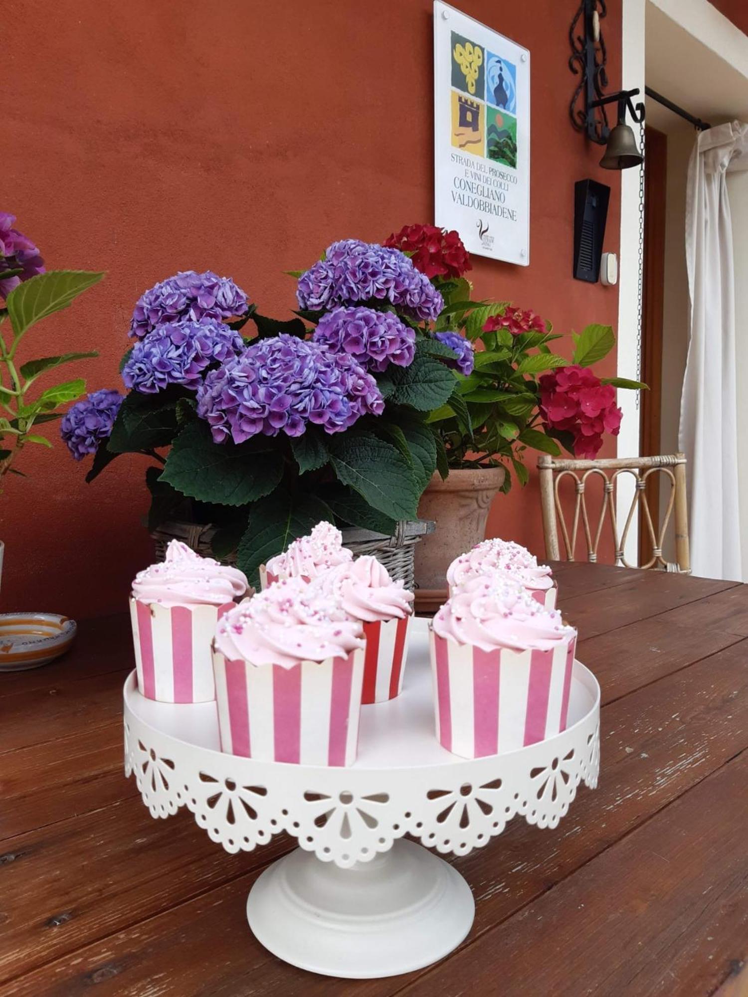 B&B Casa Del Conte Soligo エクステリア 写真
