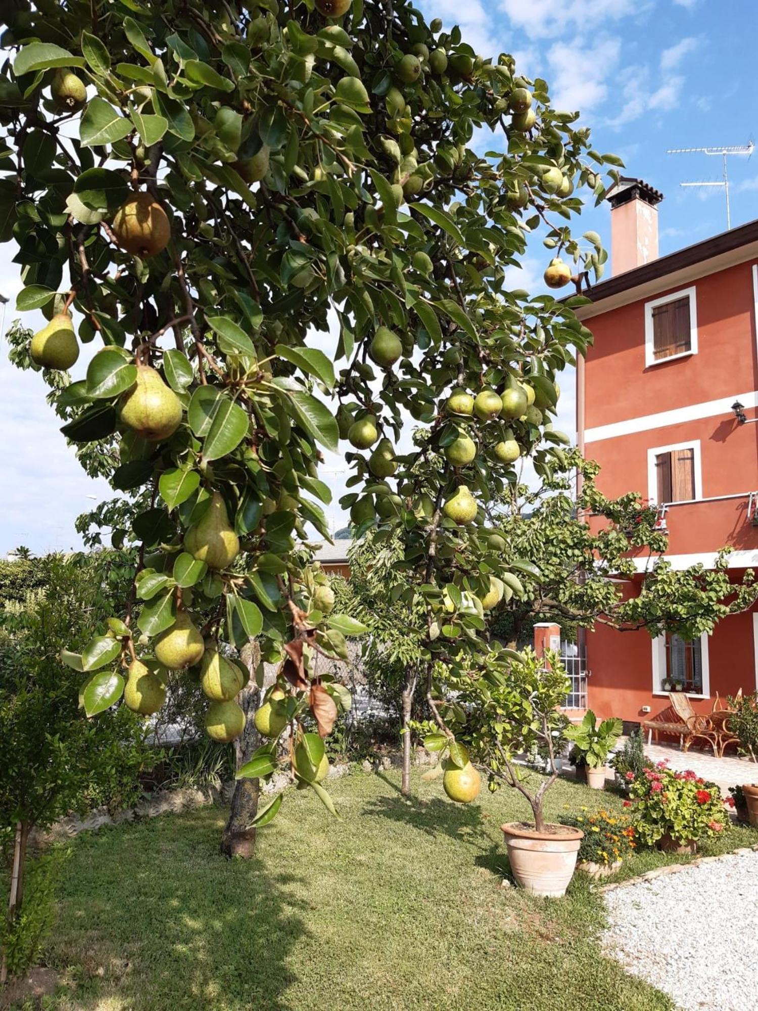 B&B Casa Del Conte Soligo エクステリア 写真